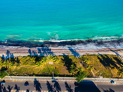 aerial photography of sea shore thumbnail