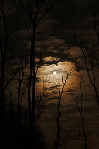 worm's eye view of full moon during night time thumbnail