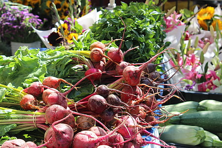 assorted vegetables thumbnail