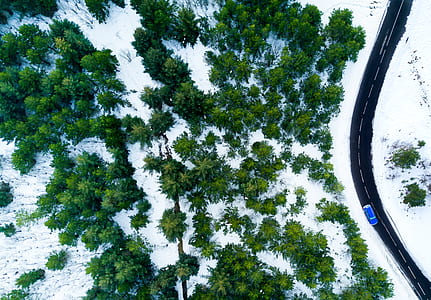 aerial view of green forest near road thumbnail