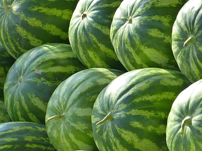 green watermelon thumbnail