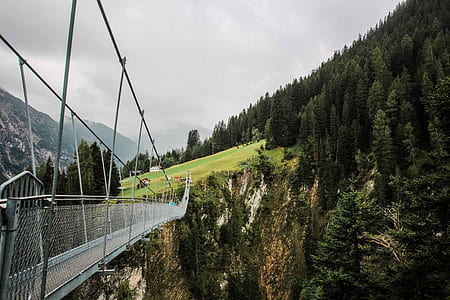 empty footbridge leading to forest thumbnail