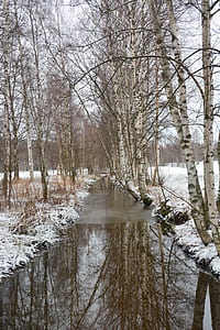 wet road between bare trees thumbnail