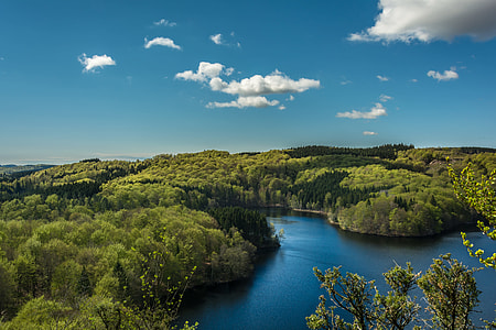 aerial photography of river in between tall trees under white clouds and blue sky thumbnail