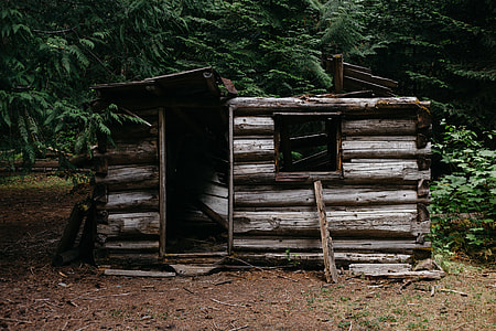 brown wooden shed near trees thumbnail