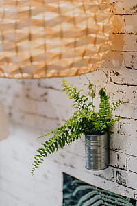 Details of modern interior with green plants thumbnail