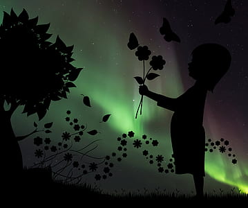 silhouette of girl holding flowers with aurora background thumbnail