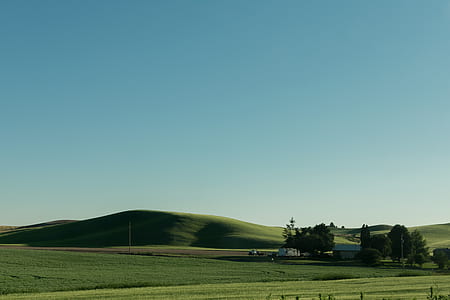 green grass field under blue sky thumbnail