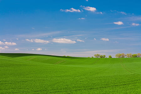 green grass field during cloudy day thumbnail