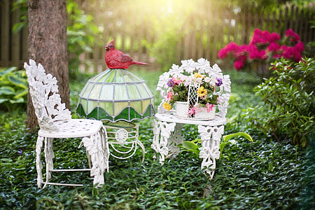 white steel outdoor chairs on green grass field thumbnail