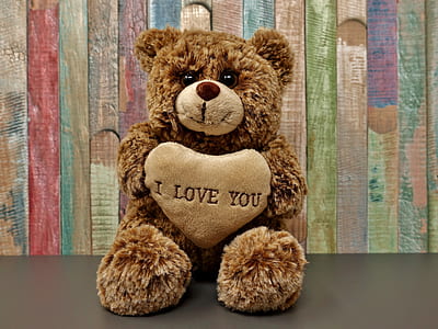 brown bear plush toy thumbnail