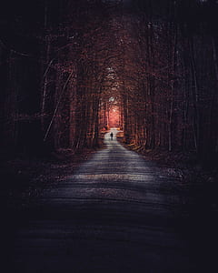 person walking in the middle of woods thumbnail