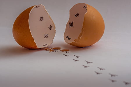 cracked empty egg with bird footprints on white surface thumbnail