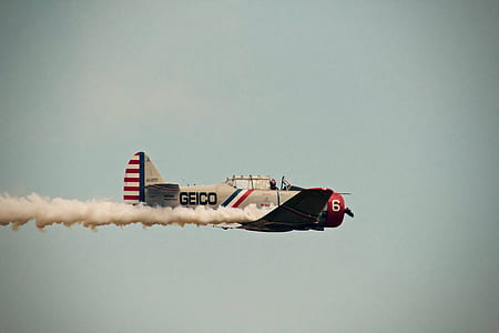 gray Geico plane flying thumbnail