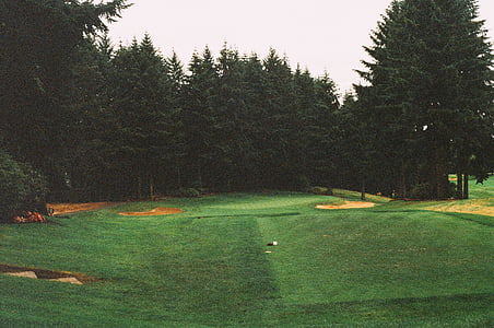 golf field near tress at daytime thumbnail