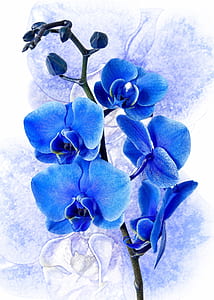 blue orchids painting thumbnail