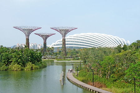 people walking on wooden dock and white stadium in distance thumbnail