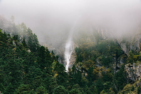 green tress in front of waterfalls thumbnail