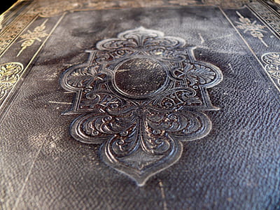 black floral area rug thumbnail