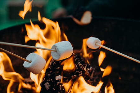 person grilling mallows on stick thumbnail