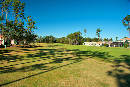 green grass field under blue sky at daytime thumbnail