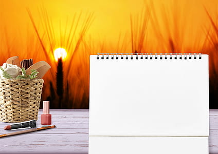 white spring book and wicker basket thumbnail