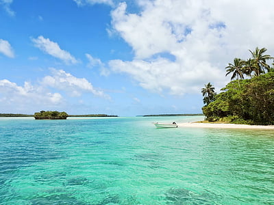 landscape photo of ocean thumbnail
