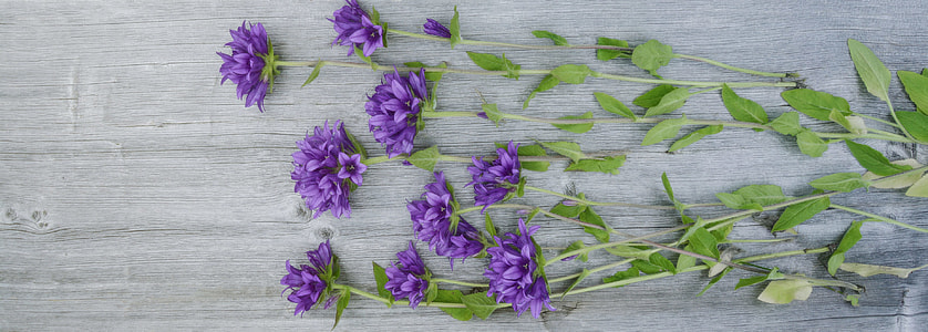 high-angle photography of flowers on wooden surface thumbnail