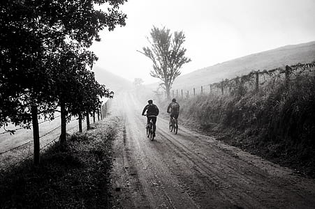 two peoples riding bicycle thumbnail