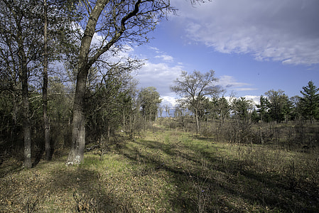 Hiking Trail with trees on a good day at Quincy Bluff, Wisconsin thumbnail