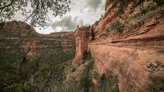 trees below the clift thumbnail