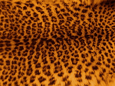 brown and black leopard pattern illustration thumbnail
