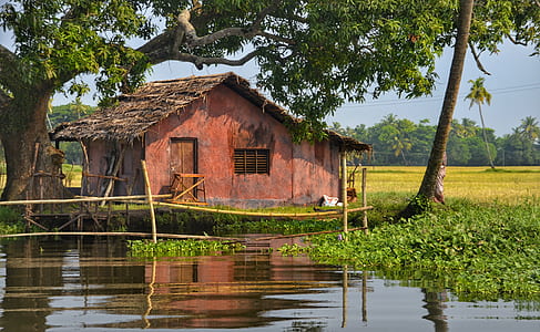 brown house near lake thumbnail