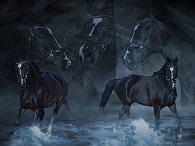 two black horses painting thumbnail