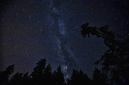 worm's eye view of night sky thumbnail
