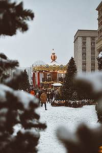 green trees with snow thumbnail
