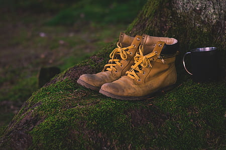 pair of brown Timberland leather boots on tree base thumbnail