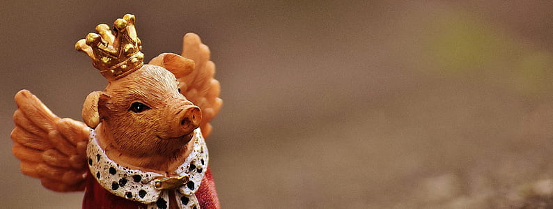 brown pig with wings and crown close-up photo thumbnail