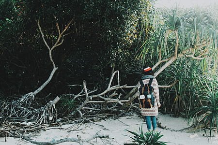 woman standing in front of slatted trees taken during daytime thumbnail