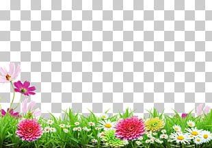 Poster, Spring background poster, assorted-color flowers PNG clipart