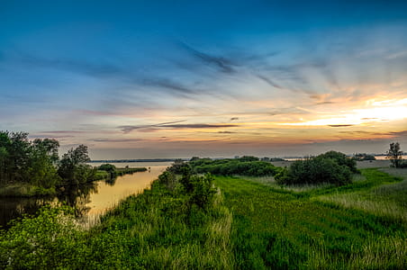 Landscape Photography of Green Grass and Sea thumbnail
