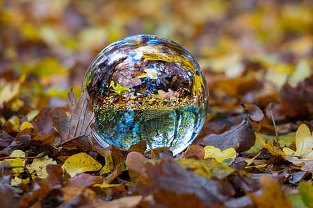 crystal ball surrounded by dried leaves thumbnail