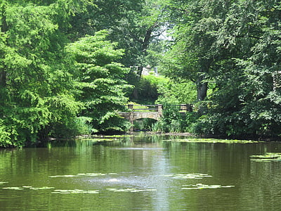 calm water surrounded by trees thumbnail
