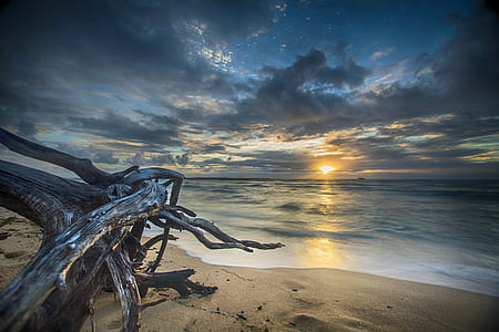 sea, dawn, nature, sky thumbnail