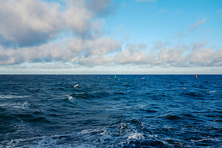 Seascape thumbnail