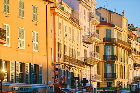 houses, sunny thumbnail