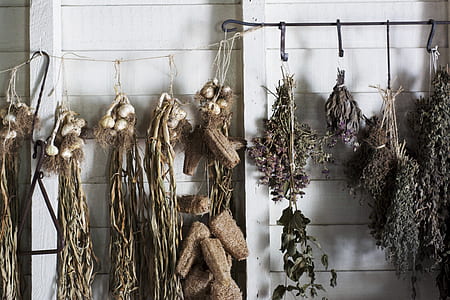 hanging garlic cloves and plants thumbnail