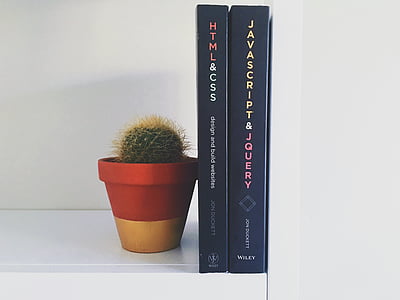 two black covered book beside green cactus thumbnail
