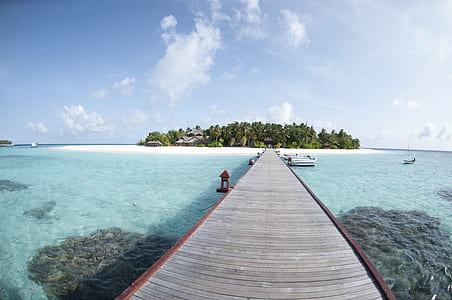 empty gray wooden dock at daytime thumbnail