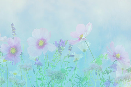 close-up photo of pink petaled flowers thumbnail